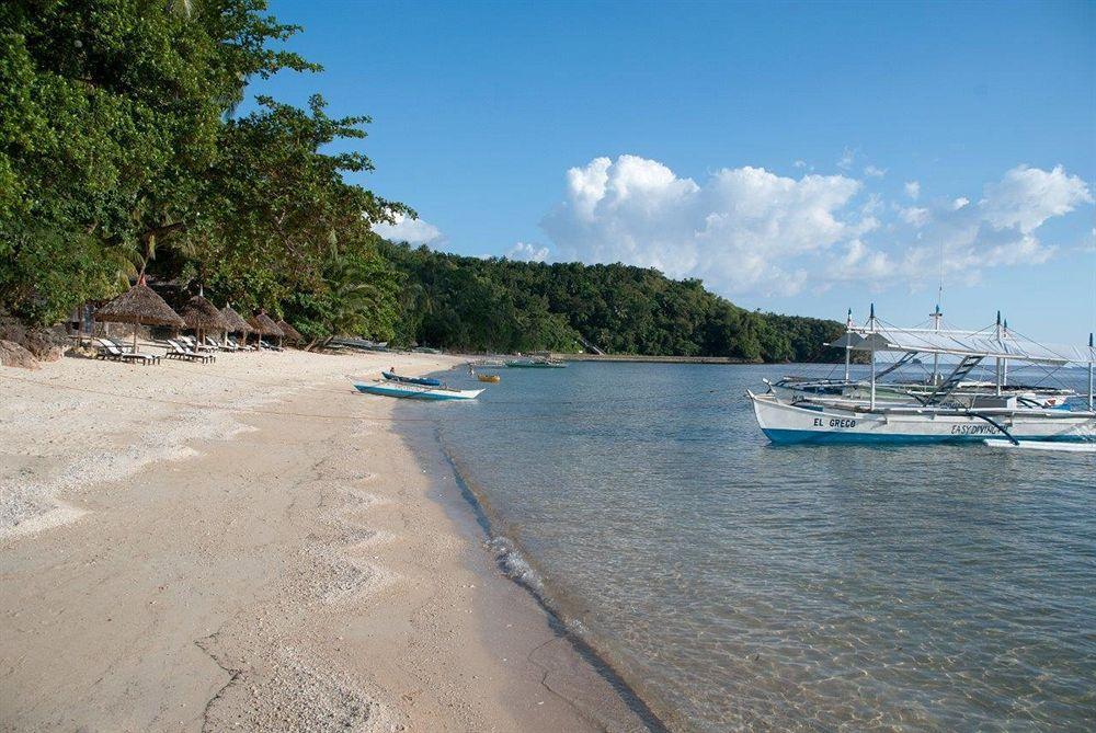 Easy Diving And 3* Sipalay
